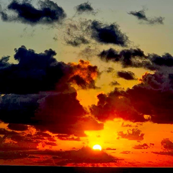 Meet your Posher, Danielle - Picture 1 of 1